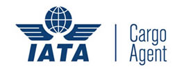 IATA LOGO